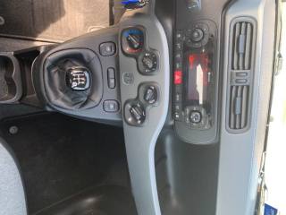 FIAT Panda usata, con Servosterzo