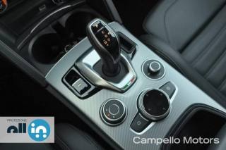 ALFA ROMEO Stelvio usata 14
