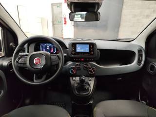 FIAT Panda usata 12