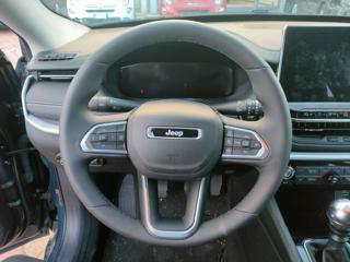 JEEP Compass usata, con Cerchi in lega