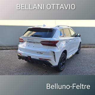SWM G01 usata, con Alzacristalli elettrici