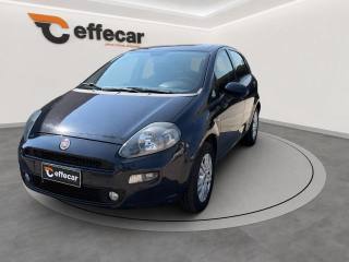 FIAT Punto 1.2 8V 5 porte Lounge