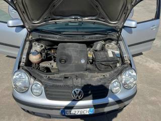 VOLKSWAGEN Polo usata, con Servosterzo