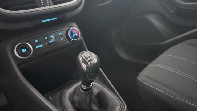 FORD Fiesta usata 12