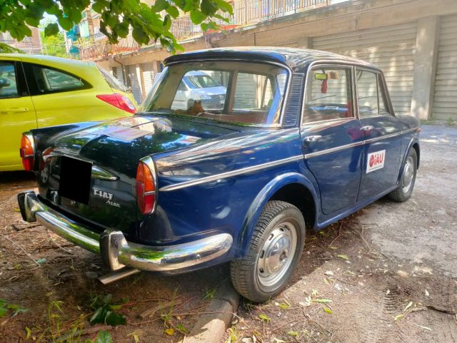 FIAT 1100 usata 5