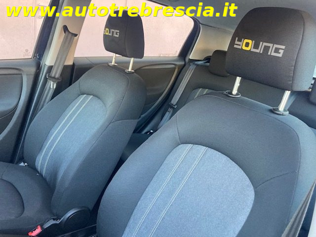 FIAT Punto usata 14