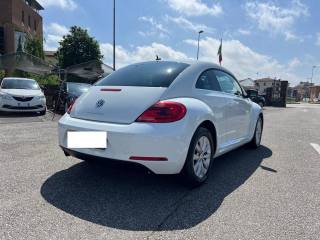 VOLKSWAGEN Maggiolino usata, con Cerchi in lega