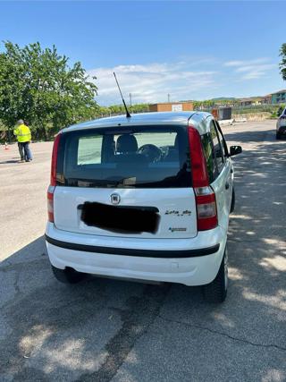 FIAT Panda usata 2