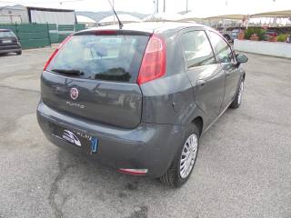 FIAT Punto usata 11