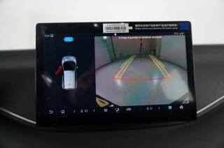BYD Dolphin Surf usata, con Servosterzo