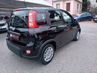FIAT Panda usata, con Boardcomputer