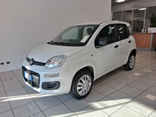 FIAT Panda usata, con Airbag