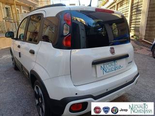 FIAT Panda usata, con Fendinebbia