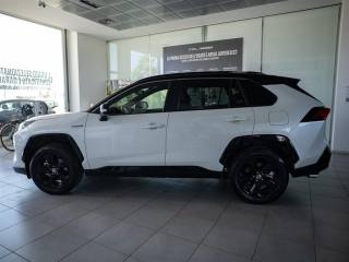 TOYOTA RAV 4 usata, con Fendinebbia