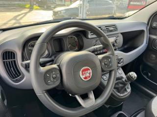 FIAT Panda usata, con Fendinebbia
