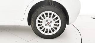 FIAT Punto usata 33