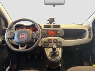 FIAT Panda usata 10