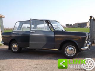 FIAT 1100 usata 59
