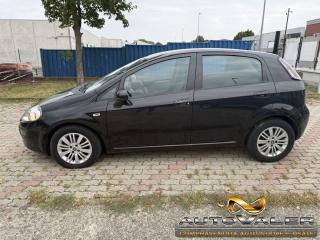 FIAT Punto Evo usata, con Autoradio