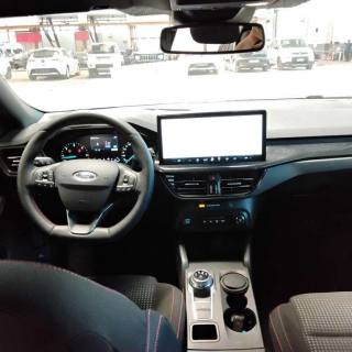 FORD Focus usata, con Fendinebbia