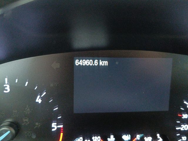 FORD Focus usata, con Servosterzo