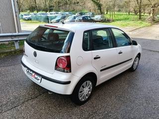 VOLKSWAGEN Polo usata, con Chiusura centralizzata