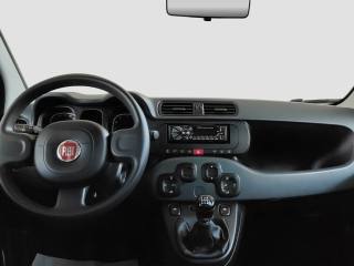 FIAT Panda usata 11