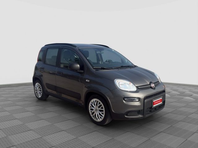 FIAT Panda usata 7