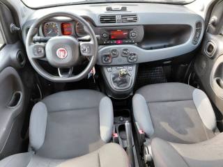 FIAT Panda usata, con Fendinebbia