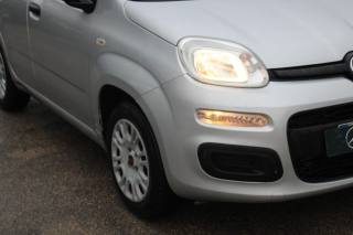FIAT Panda usata, con Controllo trazione