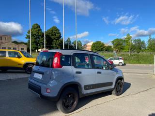 FIAT Panda usata 21