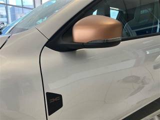 DACIA Spring usata 19