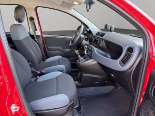 FIAT Panda usata 8