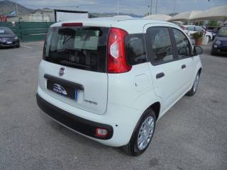 FIAT Panda usata, con Servosterzo