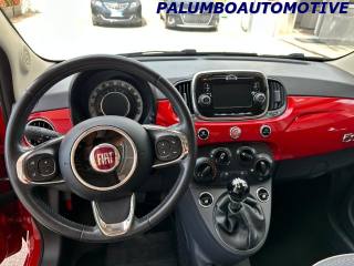 FIAT 500 usata 10