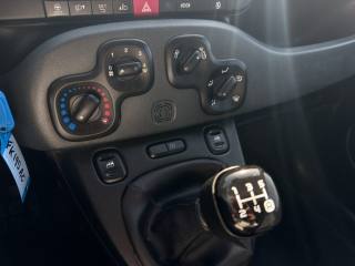 FIAT Panda usata 13