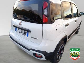 FIAT Panda Cross usata 16