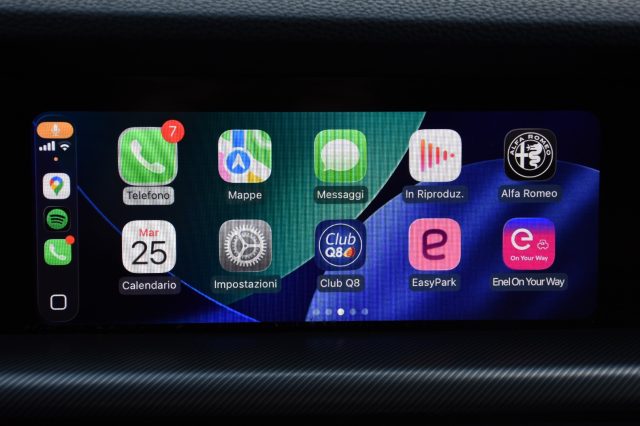 ALFA ROMEO Stelvio usata, con Controllo trazione