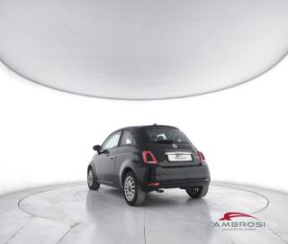 FIAT 500 usata 3