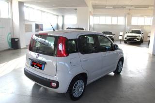 FIAT Panda usata, con Alzacristalli elettrici