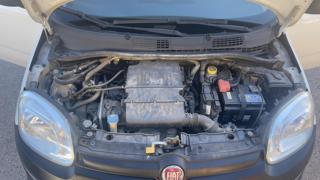 FIAT Panda usata, con Servosterzo