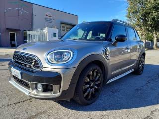 MINI Countryman usata, con Airbag