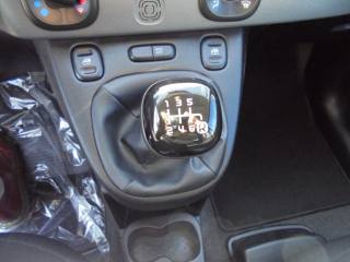 FIAT Panda usata 25