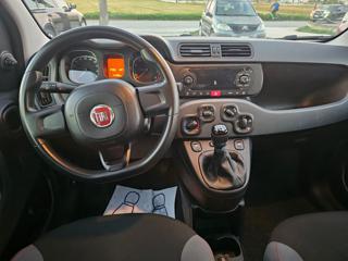 FIAT Panda usata, con Airbag testa