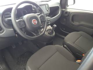 FIAT Panda usata, con Climatizzatore