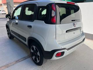 FIAT Panda Cross usata, con Alzacristalli elettrici