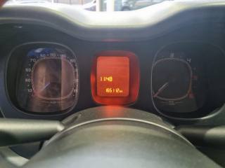 FIAT Panda usata, con Immobilizzatore elettronico