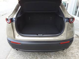 MAZDA CX-30 usata, con Servosterzo