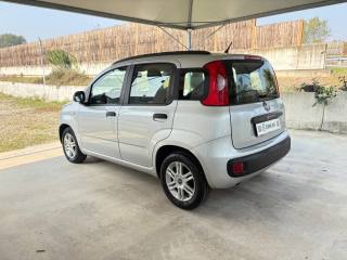 FIAT Panda usata, con Alzacristalli elettrici