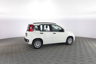 FIAT Panda usata 2